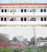 AI不孤讀｜每個孩子都會開出屬于自己的花