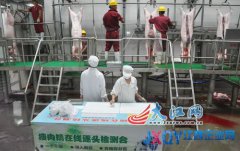 江西舉辦生豬定點屠宰企業(yè)開放日
