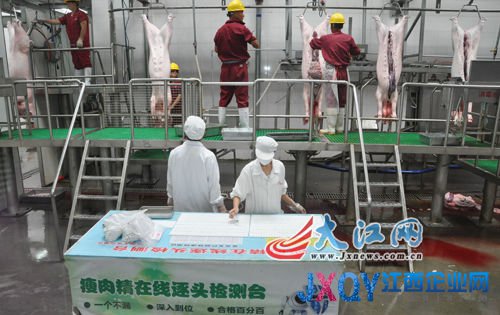 江西舉辦生豬定點屠宰企業(yè)開放日（時雨攝）