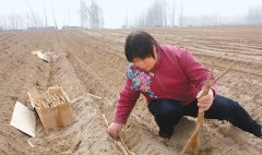 監(jiān)測顯示——南方12省份有沙患