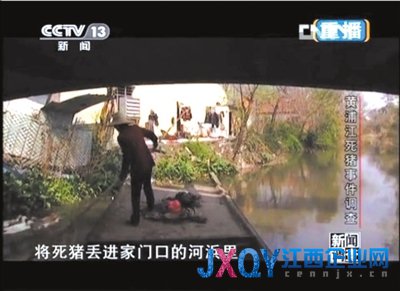 浙江嘉興村民不知80元生豬死亡補(bǔ)貼