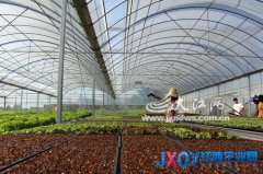 農(nóng)業(yè)產(chǎn)業(yè)化省級龍頭企業(yè)助農(nóng)戶年增收2000元[圖