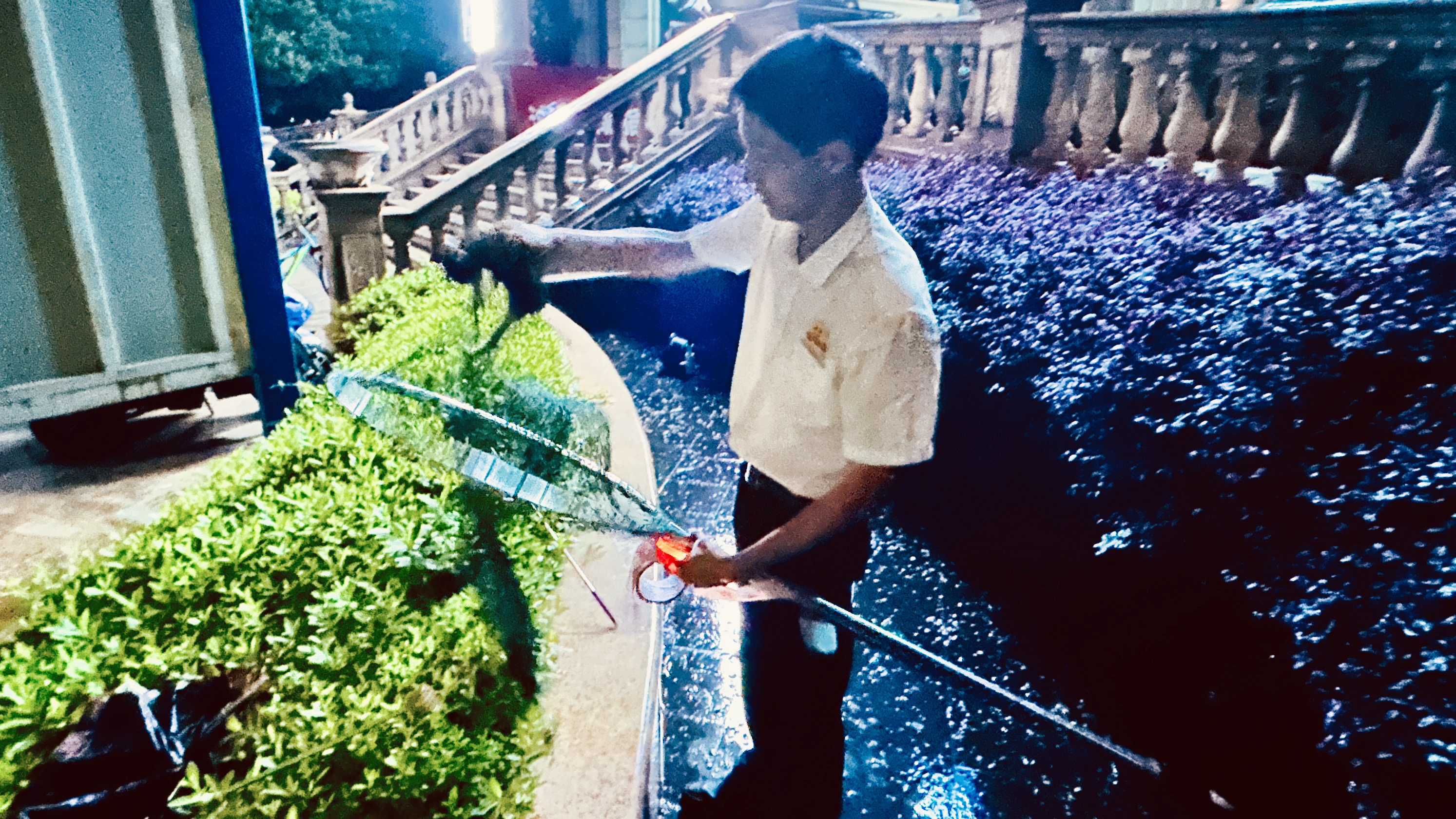 小區(qū)上演暖心救援 兩只小奶貓成功獲救