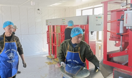 中國(guó)人壽助力鄉(xiāng)村產(chǎn)業(yè)蝶變  譜寫黑土地上的振興新篇